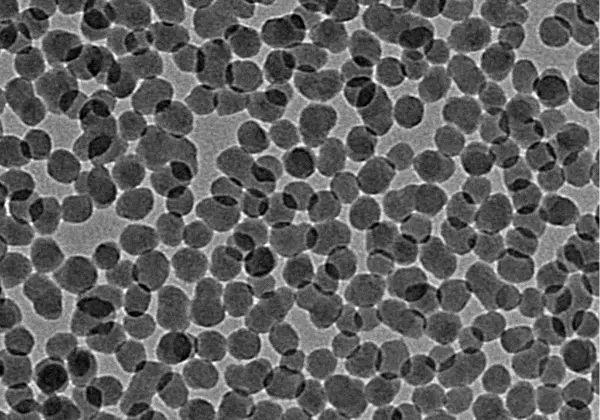 TEM image of silica nanoparticles (20 nm) 