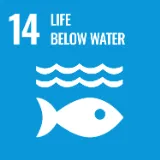SDGs 14:LIFE BELOW WATER