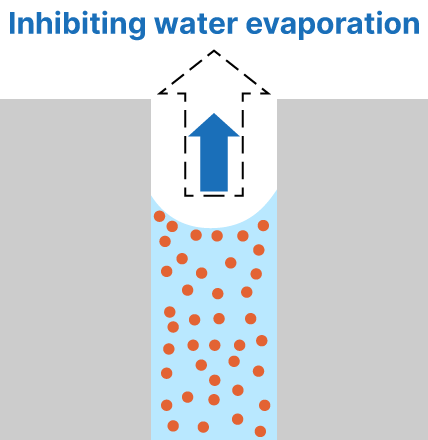 Infibiting water evaporation
