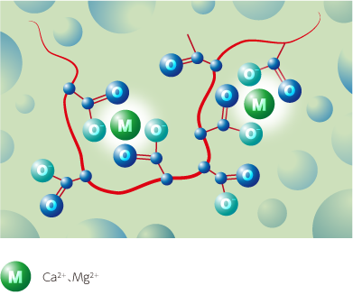 illustration of chemical structure