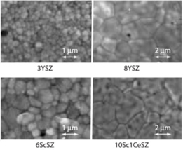 Typical Electrolyte Surface（SEM）