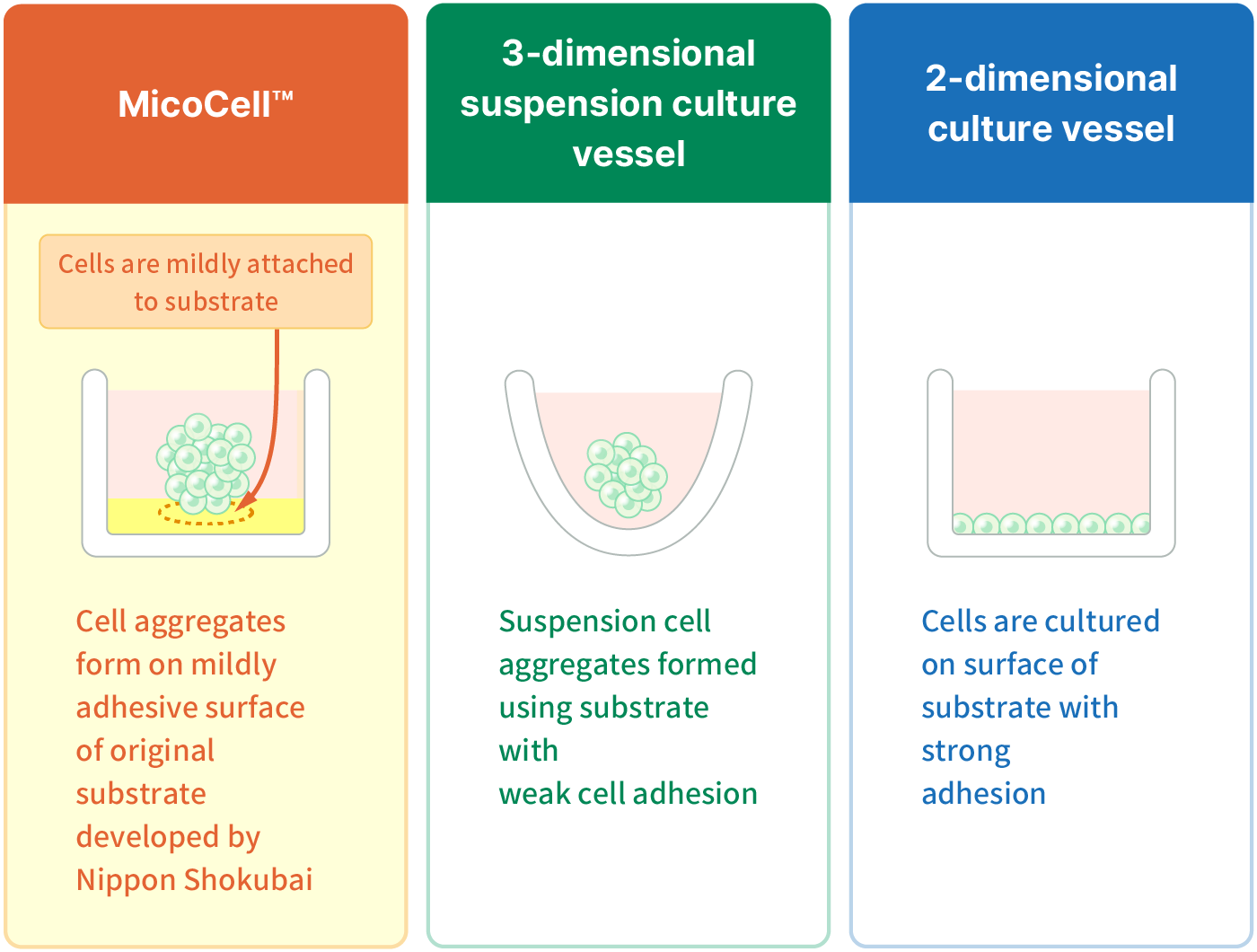 3D Cell Culture Vessel MicoCell™ Products NIPPON SHOKUBAI