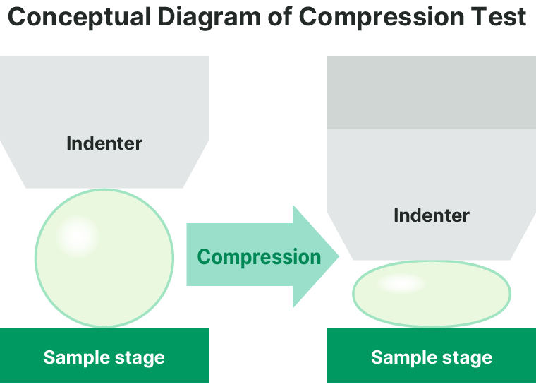 Conceptual Diagram of Compression Test