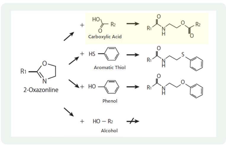 Reactivity with Functional Groups of EPOCROS™ WS
