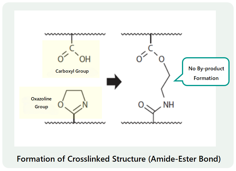 Reaction Mechanism of EPOCROS™ WS (Oxazoline Groups) and Carboxy Groups