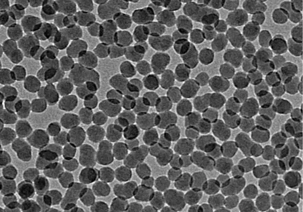 シリカナノ粒子分散液のTEM像(20nm)の写真