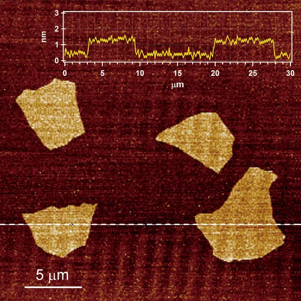 酸化グラフェンのAFM像の写真
