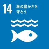 SDGs 14:海の豊かさを守ろう