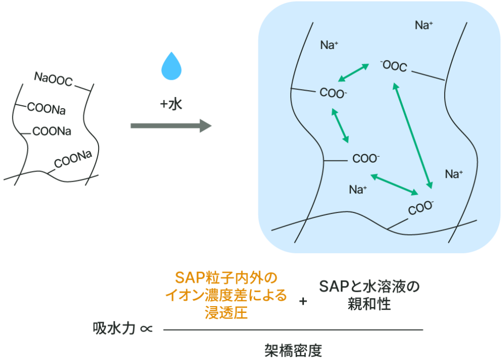 吸水原理のイメージ