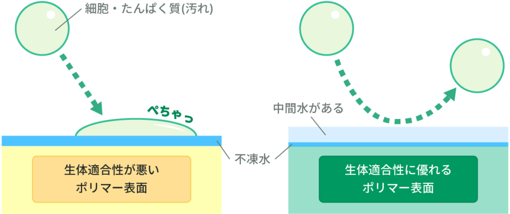 生体適合性が悪いポリマー表面、生体適合性に優れるポリマー表面イメージ図