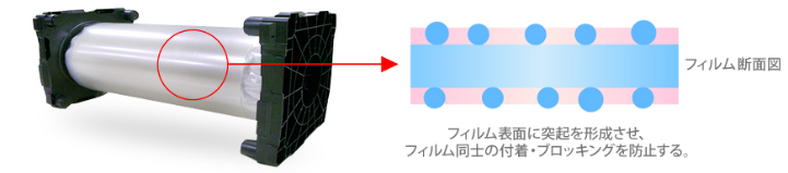 フィルム断面図