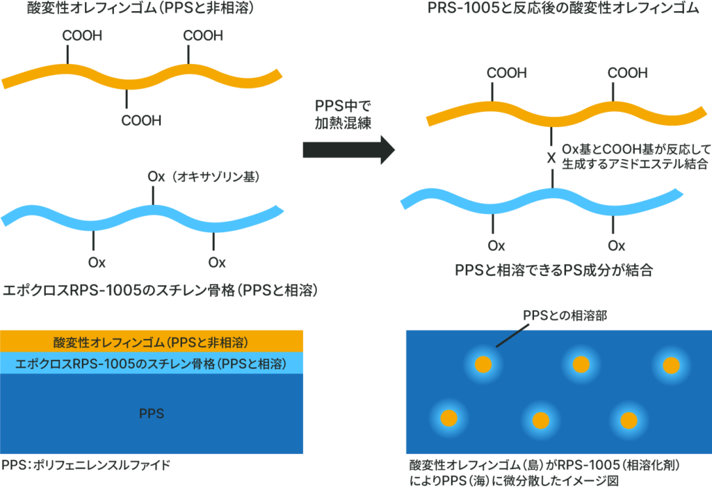 酸変成オレフィンゴム、RPS-1005と反応後の酸変正オレフィンのイメージ図