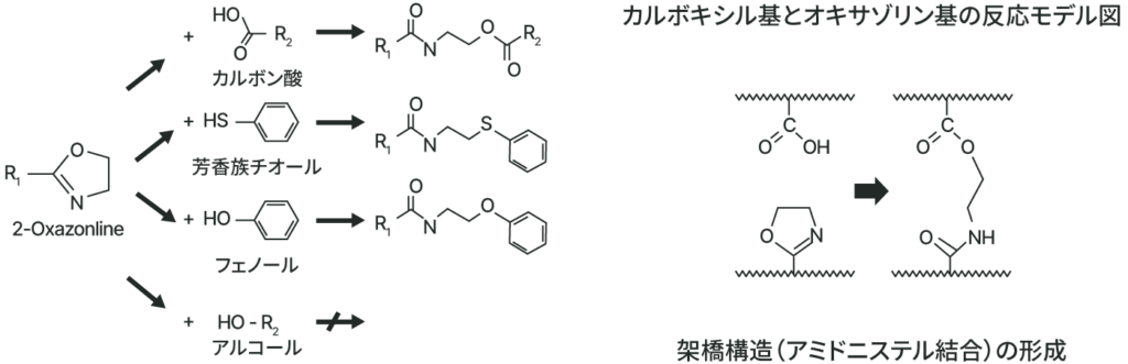 カルボキシル基とオキサゾリン基の反応モデル図