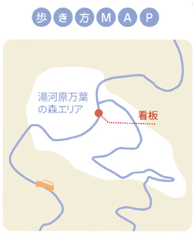 歩き方マップ