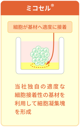 ミコセルの特長イメージ図