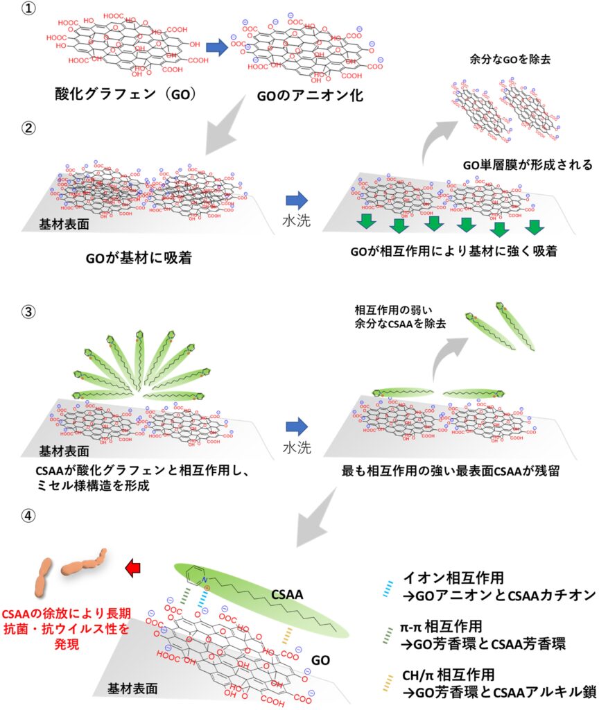 図2:今回新たに解明された、酸化グラフェンの基材と抗菌・抗ウイルス剤との相互作用および抗菌抗ウイルス性
発現のイメージ図